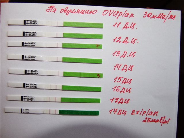 Эвитест на овуляцию инструкция