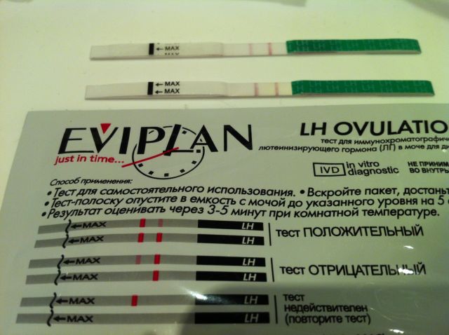 Eviplan     -  5