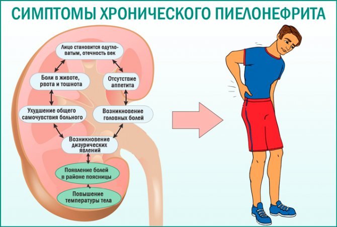 Пиелонефрит Симптомы Лечение Диета