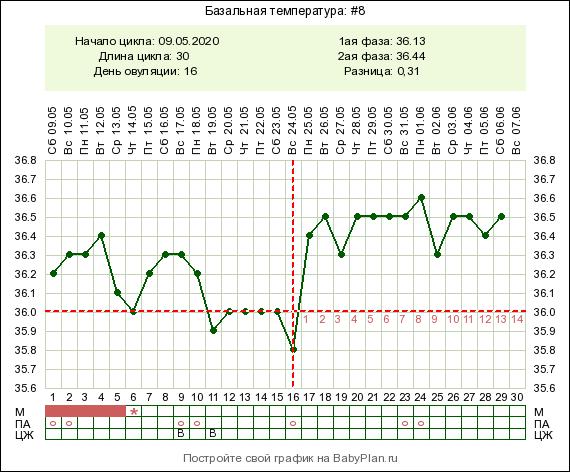 Температура во втором цикле. Западение базальной температуры. Измерение базальной температуры схема. Базальная температура норма. График БТ при беременности до задержки.
