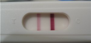 Тестик на беременность