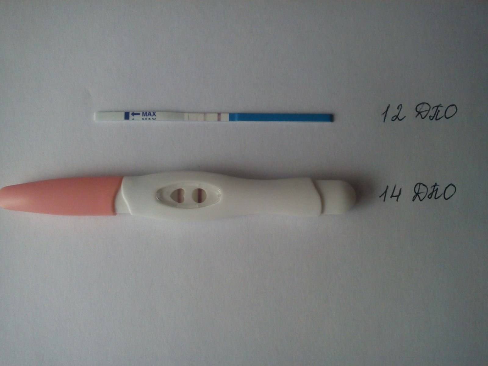 Мои беременные тестики