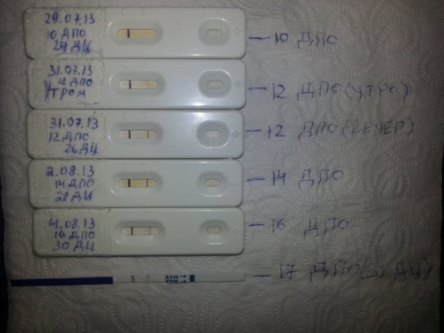 Колит после овуляции. Тест на беременность 17 ДПО. 17 День после овуляции тест отрицательный. Тест на 17 день после овуляции. 17 ДПО тест отрицательный.
