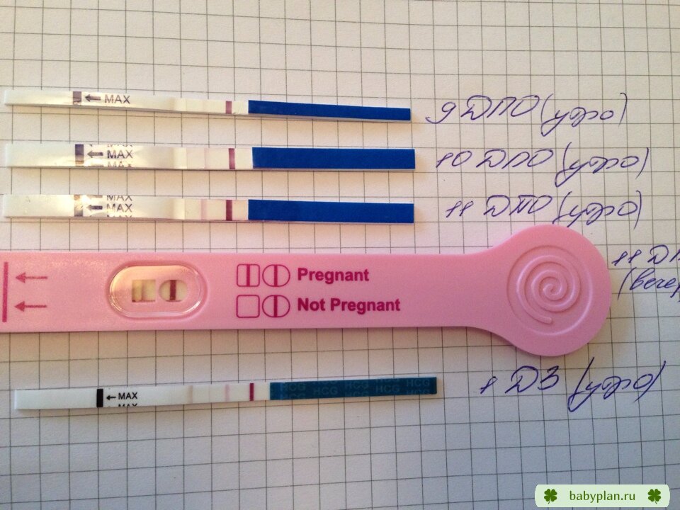 разные виды тестов на беременность на столе