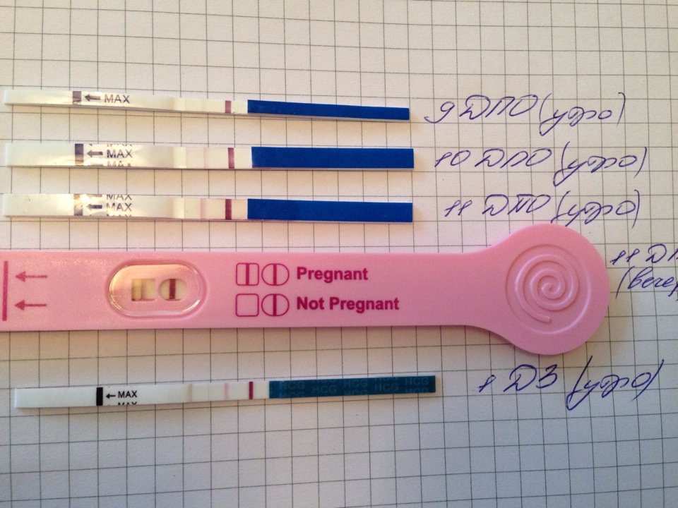 Овуляция когда делать тест на беременность