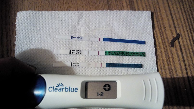 Тест на беременность 1 15
