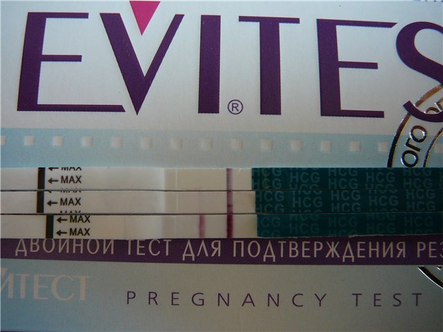 Мои беремчатые тестики))))