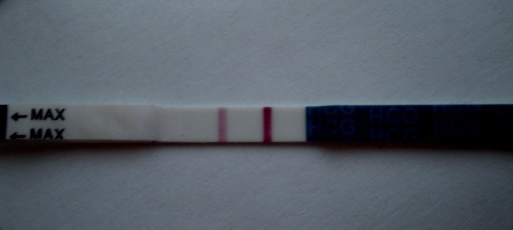 Тест на беременность Эви, 16 ДПО