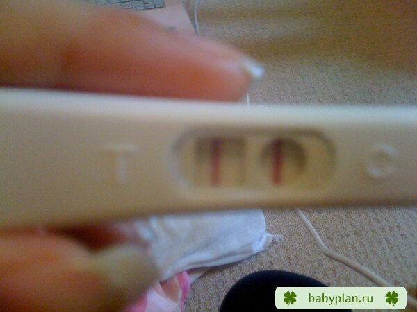  тест на беременность