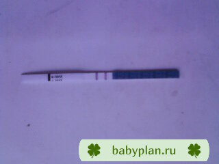 Evitest 22 ДПО