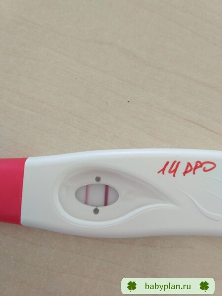 14 DPO