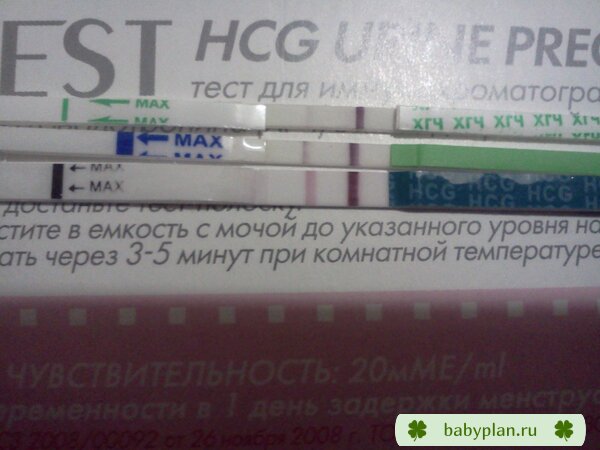 Мои тестики)