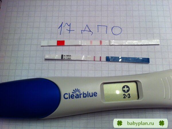 17 дпо. ХГЧ в крови 537