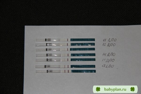 Мои тесты с 11ДПО до 18ДПО.