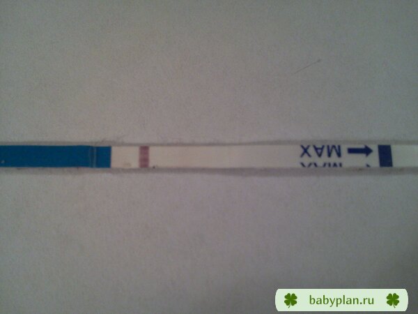 Bc4TE Tp5o