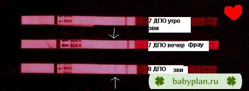 7и 8 дпо первые приветы..