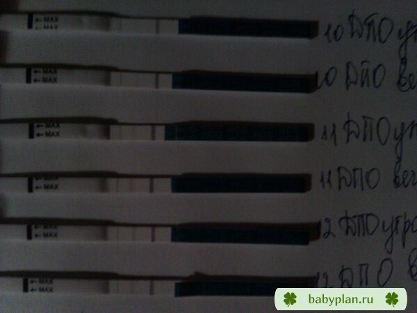 IMAG0265