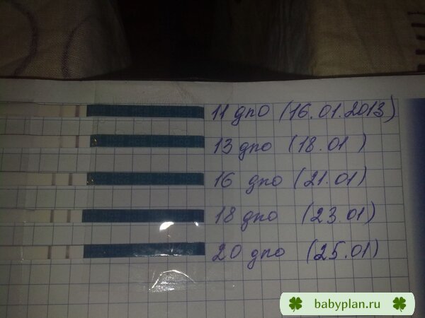 все еще не верю :)