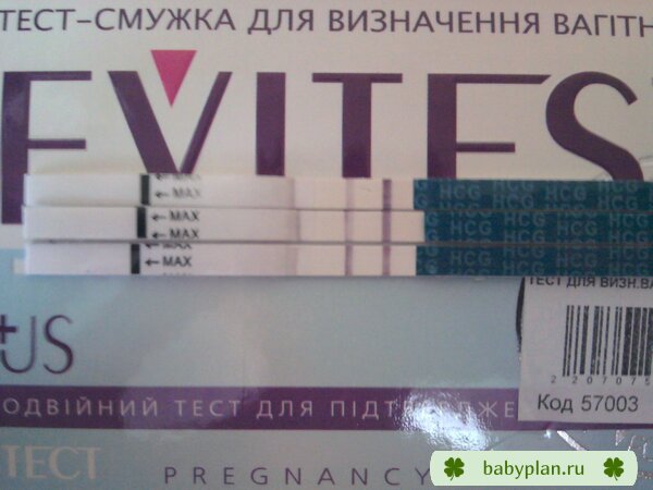 EviTest 13, 15, 19 ДПО