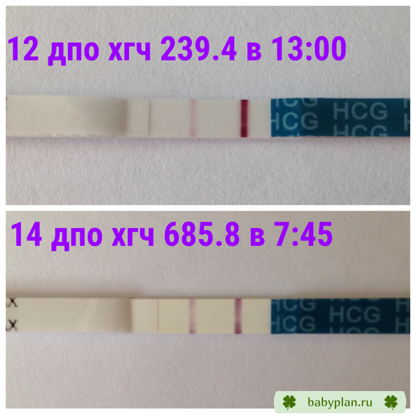 12 и 14 дпо с результатами хгч ураааа!!!