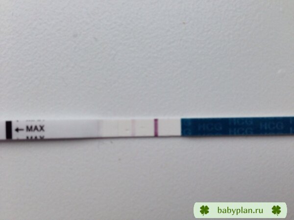 Мой беремчатый тестик :-)