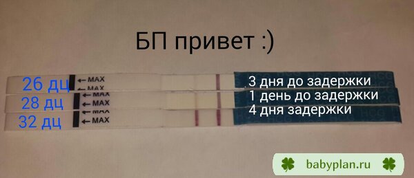 мое маленькое счастье :)
