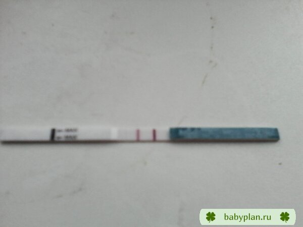 IMG 20141030 093810