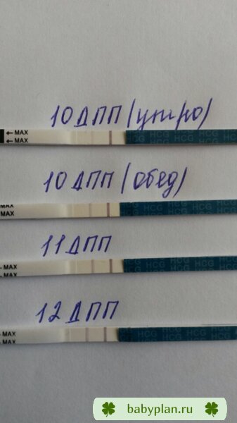 12 ДПП?????