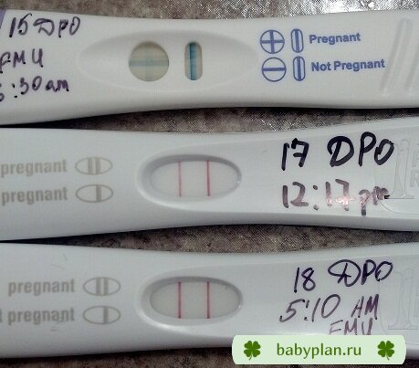18 DPO