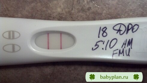 18 DPO