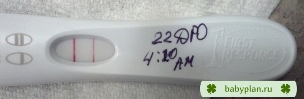 22 DPO