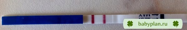 19 DPO фрау