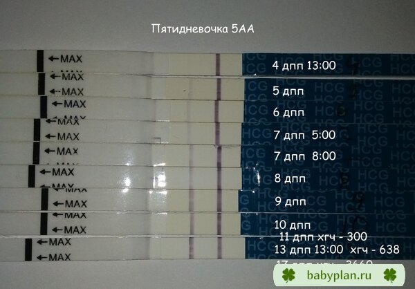 динамика 4 - 13 дпп