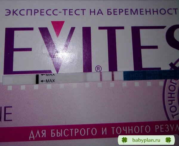 Evitest