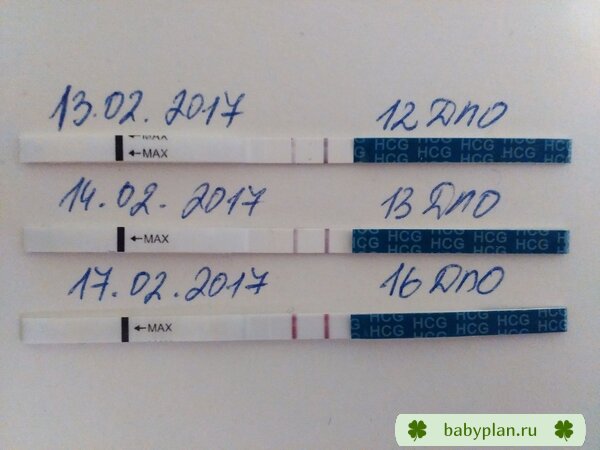 12,13,16 ДПО мы сравнялись)))