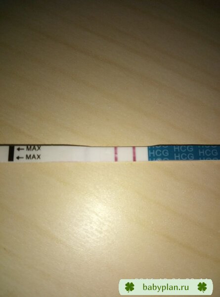 9 дз