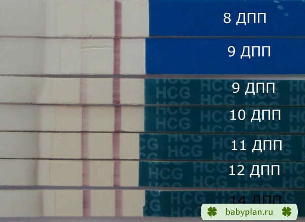 Без заголовка