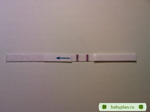 тест на беременность, 50 mlU