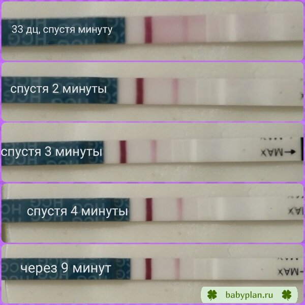 Наш второй зайка