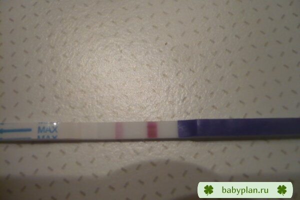 Тест на  беременность