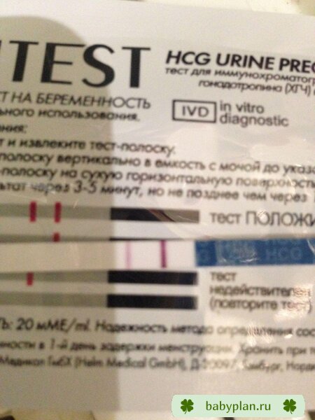 12 ДПО