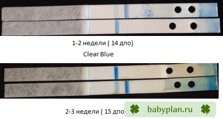 Clear Blue - электронный, разобранный