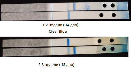 Clear Blue - электронный, разобранный