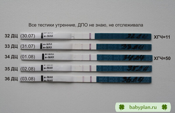 Мои тестики, моя радость)))