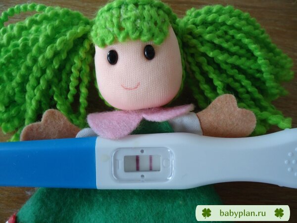 Мой беременный тестик :)