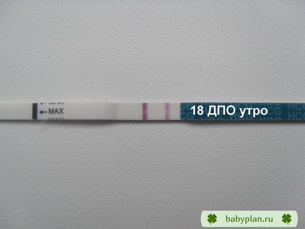 Без заголовка