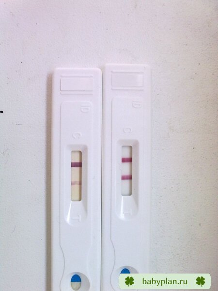 LadyTest