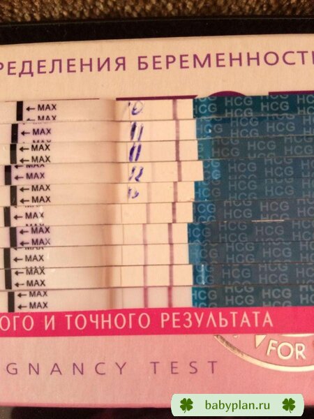 Мое долгожданное чудо!!!