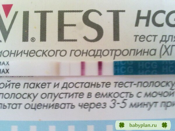 Неожиданный сюрприз