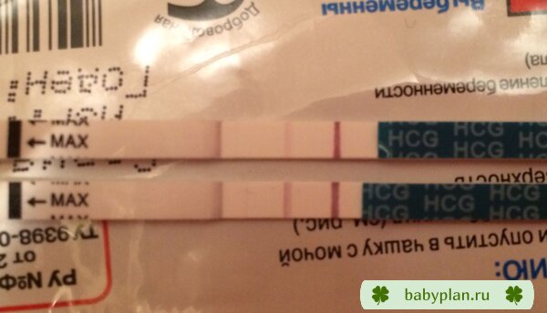 Эвитест